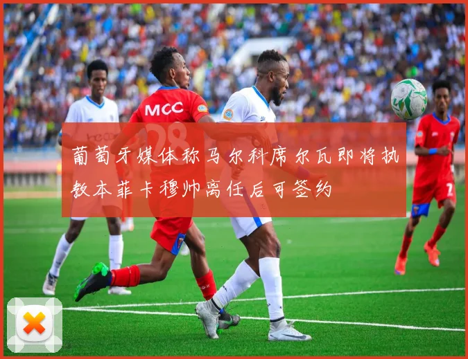 葡萄牙媒体称马尔科席尔瓦即将执教本菲卡穆帅离任后可签约