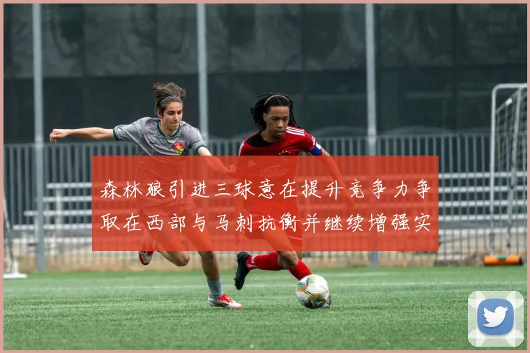 森林狼引进三球意在提升竞争力争取在西部与马刺抗衡并继续增强实力