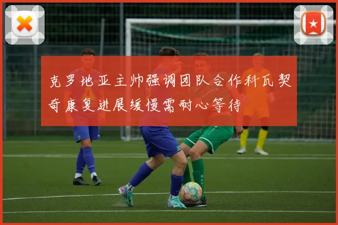 克罗地亚主帅强调团队合作科瓦契奇康复进展缓慢需耐心等待
