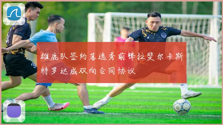 雄鹿队签约落选秀前锋拉斐尔卡斯特罗达成双向合同协议