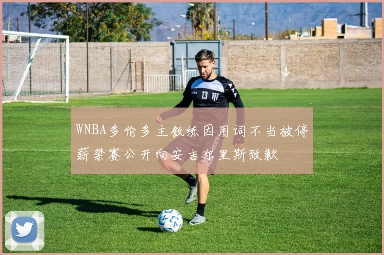 WNBA多伦多主教练因用词不当被停薪禁赛公开向安吉尔里斯致歉